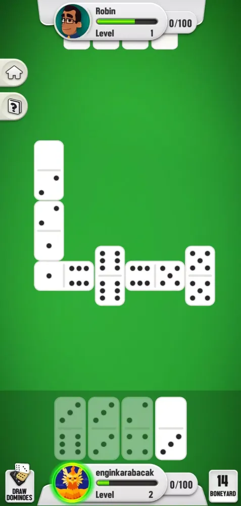 Dominoes Screenshots