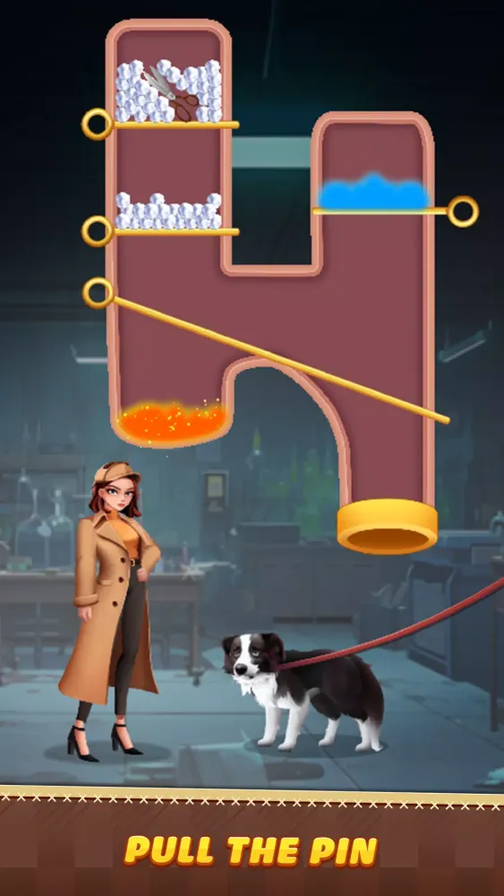 Pin Detective Ekran Görüntüleri