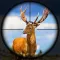 Wild Hunt: Deer Hunter 2024