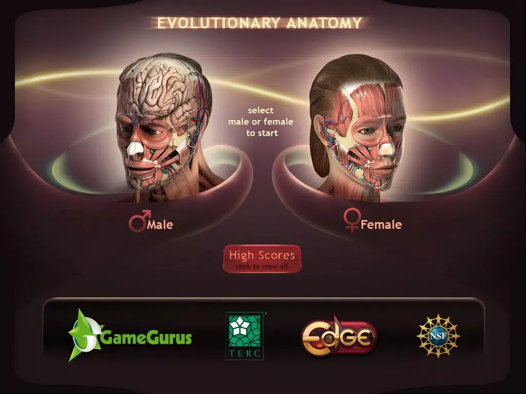 Capturas de tela do Evolutionary Anatomy iPad 