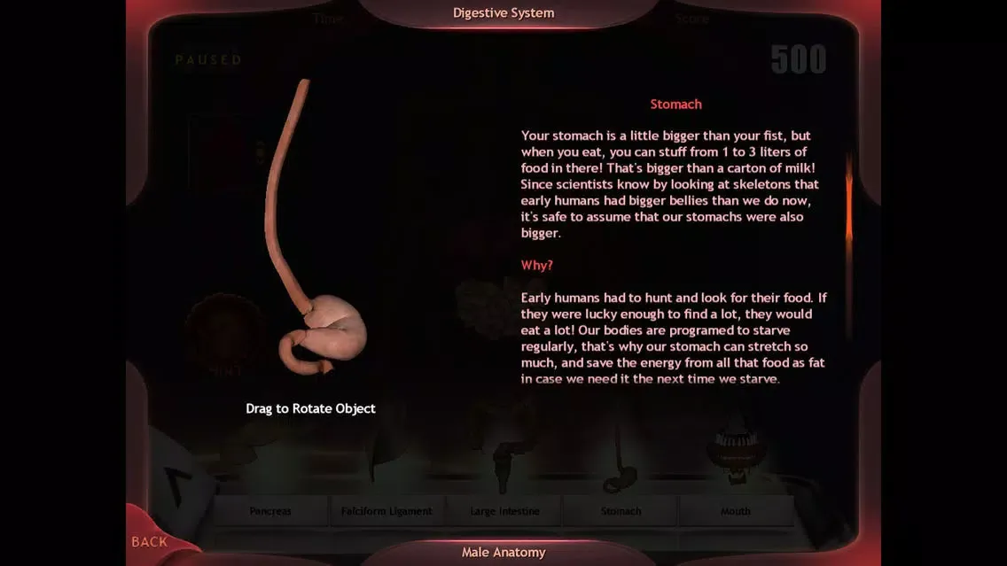 Capturas de tela do Evolutionary Anatomy