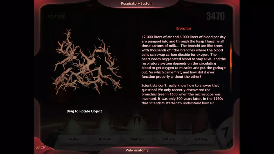 Capturas de tela do Evolutionary Anatomy