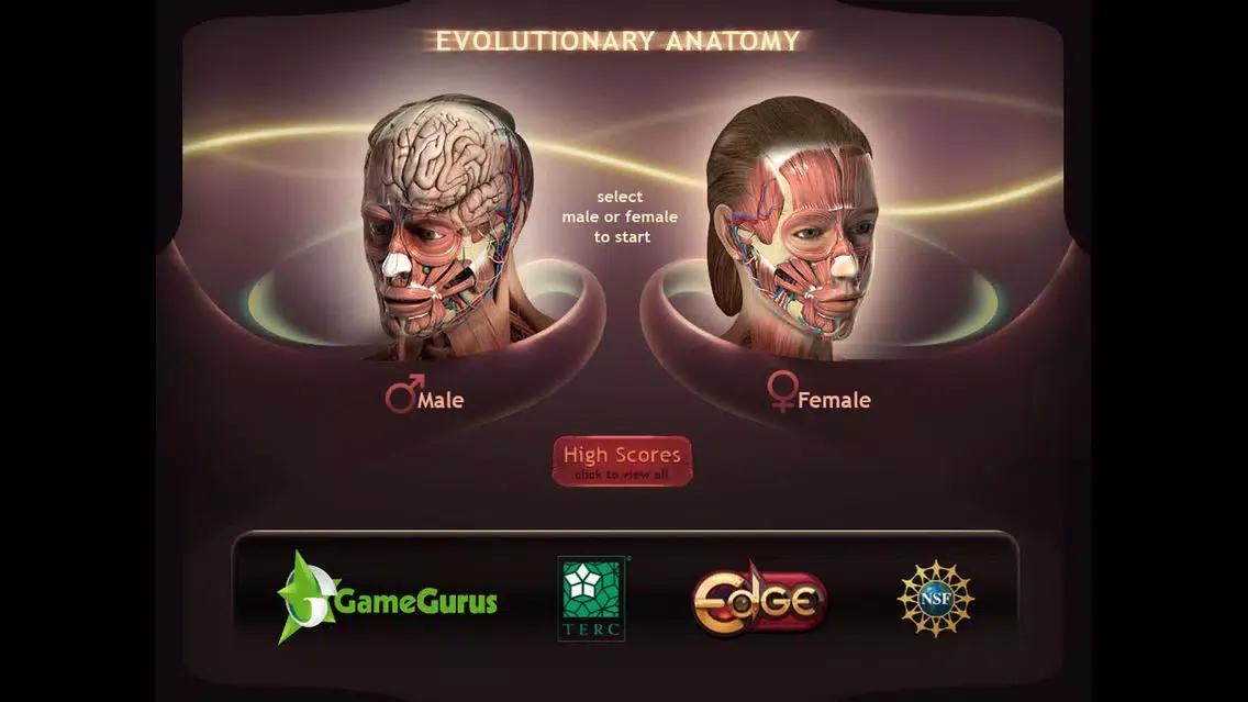 Capturas de tela do Evolutionary Anatomy