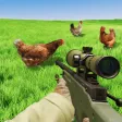 Sinper Chicken Shoot 3D Sinper Chicken Shoot 3D