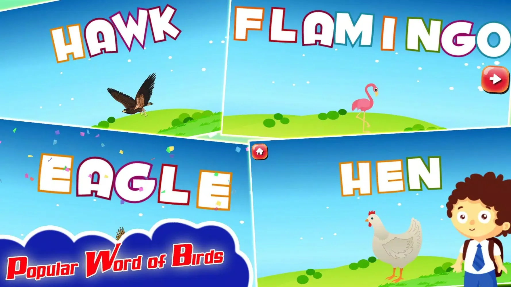 Spelling Learning Birds スクリーンショット