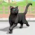 My Virtual Cat Life Simulator