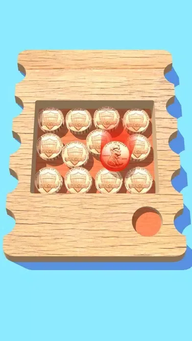 ภาพหน้าจอของ Coin Puzzle!