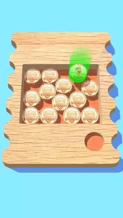 ภาพหน้าจอของ Coin Puzzle!