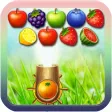 Dream Fruit Shoot 2016 Edition
