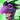Dragon Mania