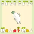A Radish With Ideals A Radish With Ideals