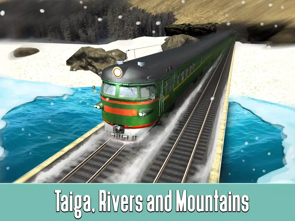 Russian Railway Train Simulator 3D iPad  স্ক্রিনশট