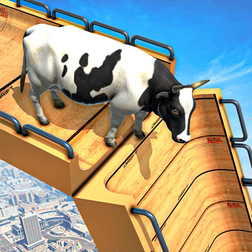 Epic Cow Mega Ramp Run