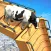 Epic Cow Mega Ramp Run