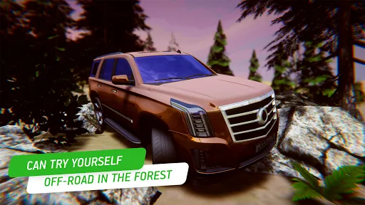 Cadillac Simulator - Racing Screenshots
