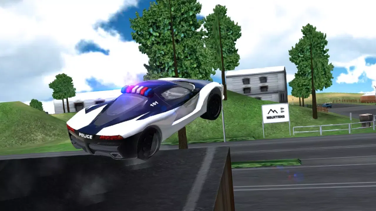 Extreme Police Car Driving應用截圖