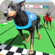 Dog Racing Championship Game Dog Racing Championship Game