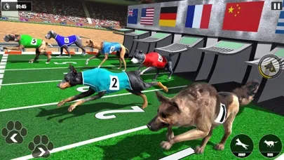 Dog Racing Championship Game Screenshots