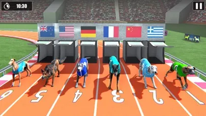 Dog Racing Championship Game Screenshots