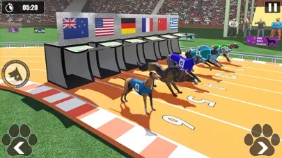 Dog Racing Championship Game Screenshots