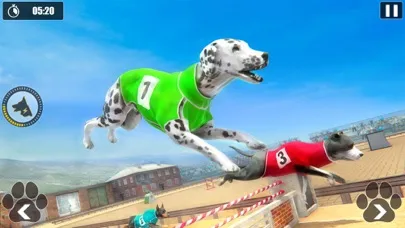 Dog Racing Championship Game Screenshots