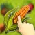 Fruit Swap - Puzzle Game