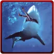 Angry Shark Attack Simulator – Killer predator simulation game Angry Shark Attack Simulator – Killer predator simulation game