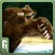 3D Bear Simulator – wild adventure simulation game