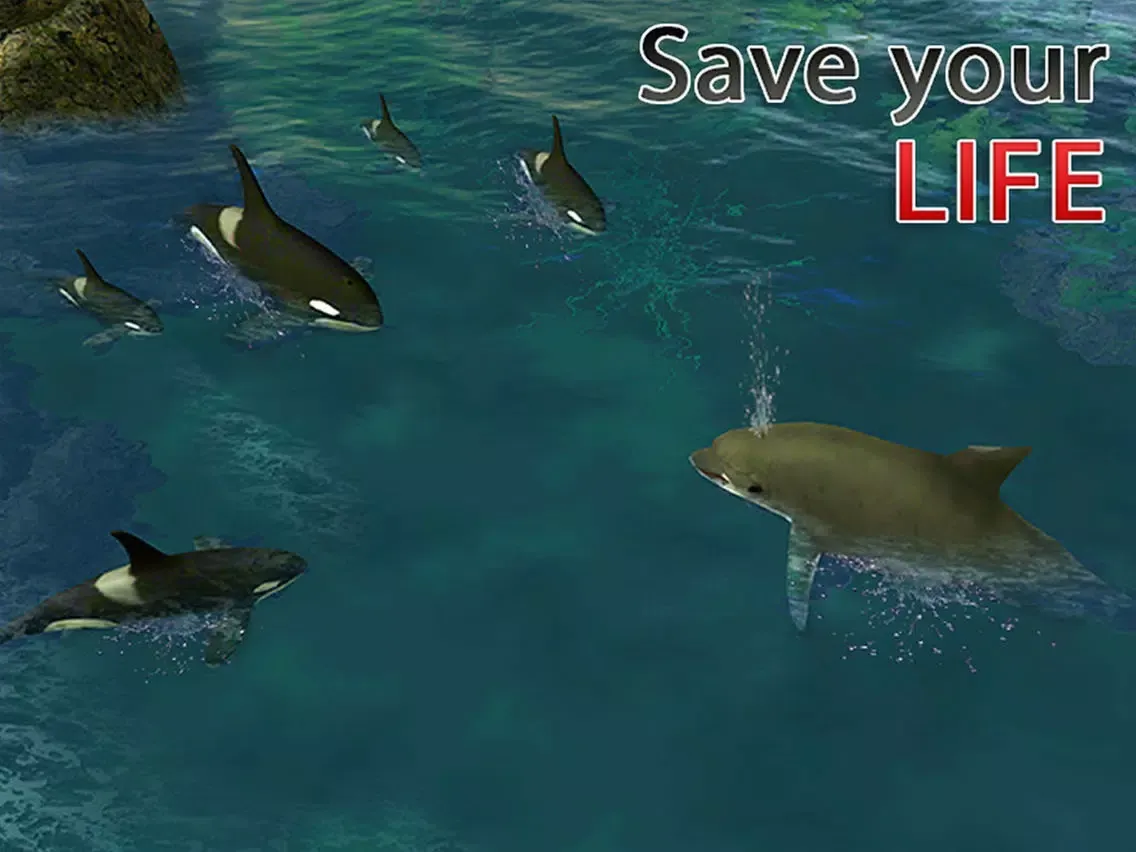 Dolphin Simulator 3D – Underwater Fish Simulation Game iPad  Screenshots