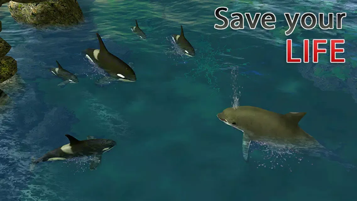 Dolphin Simulator 3D – Underwater Fish Simulation Game Screenshots