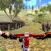 All-Terrain: Mountain Bike and DMBX
