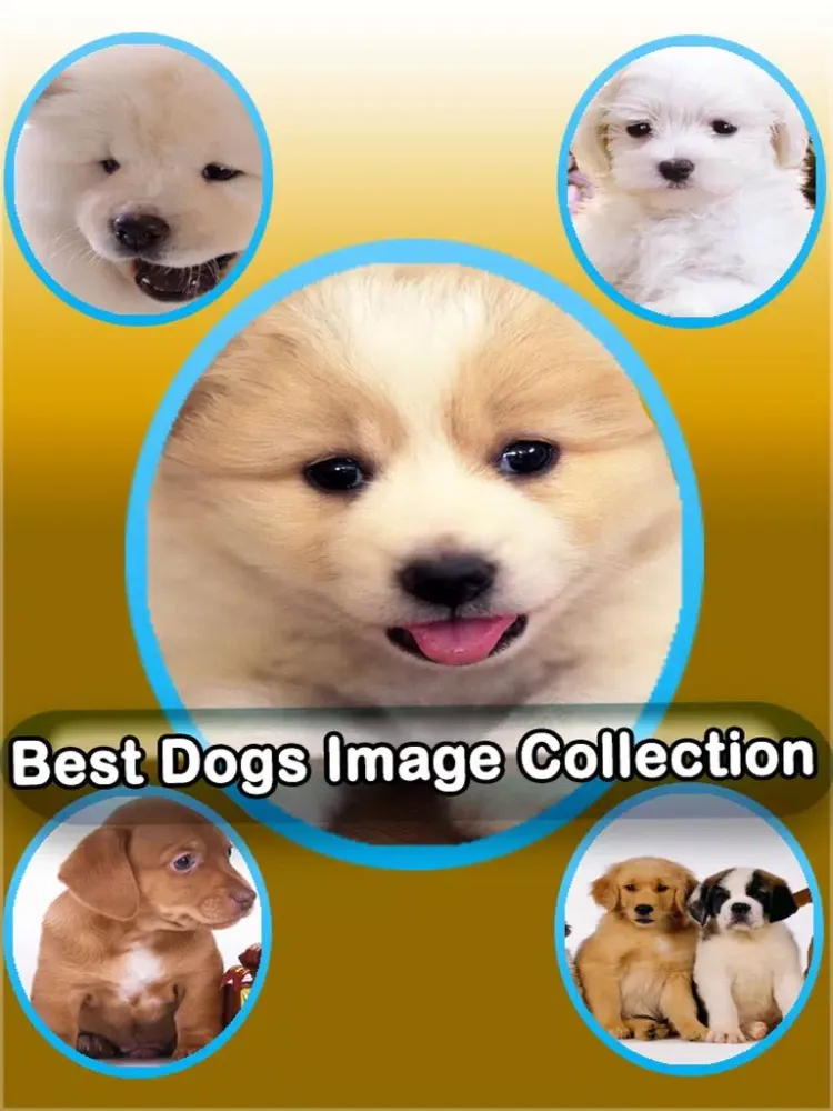 Captures d'écran de Best Cute Puppies and Cute Cat Wallpapers HD iPad 