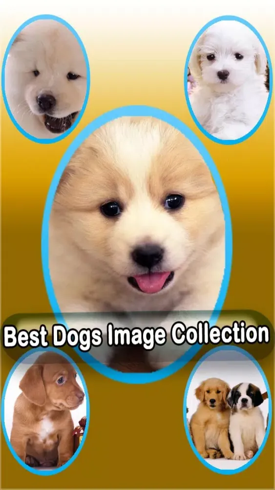 Captures d'écran de Best Cute Puppies and Cute Cat Wallpapers HD
