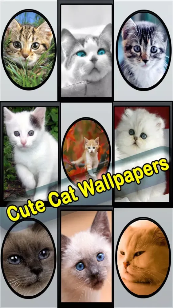Captures d'écran de Best Cute Puppies and Cute Cat Wallpapers HD