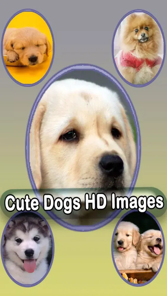 Captures d'écran de Best Cute Puppies and Cute Cat Wallpapers HD
