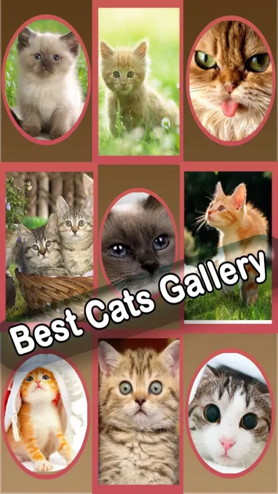 Captures d'écran de Best Cute Puppies and Cute Cat Wallpapers HD