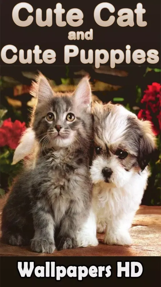 Captures d'écran de Best Cute Puppies and Cute Cat Wallpapers HD