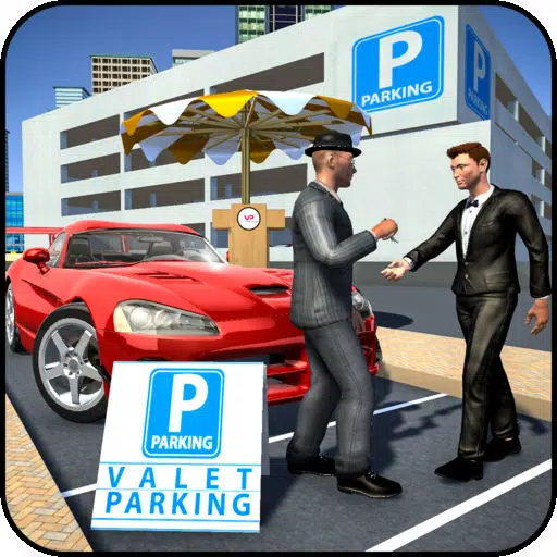 Valet Car Parking Simulator Valet Car Parking Simulator
