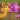 Tangled Snakes: 3D Puzzle Game