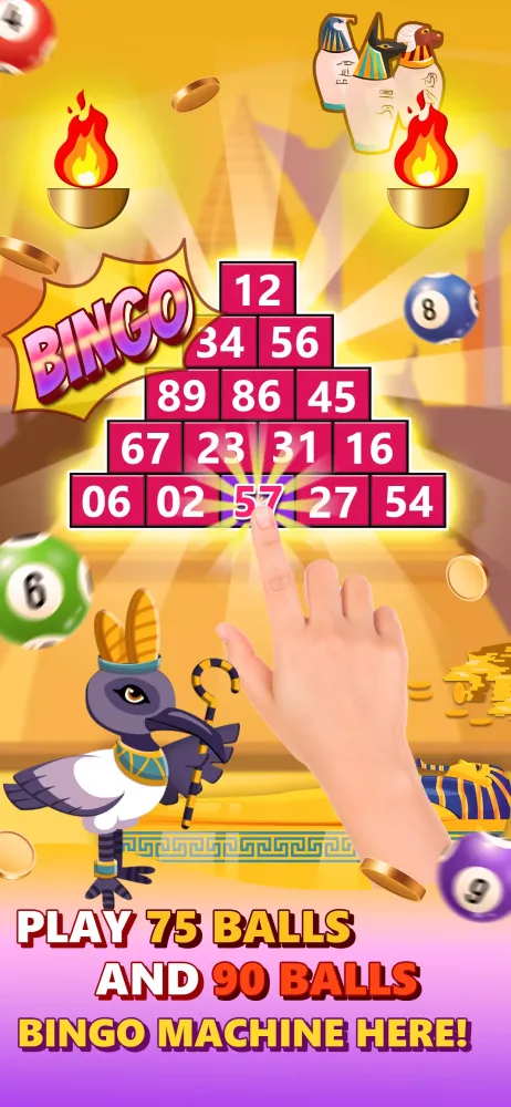 Ảnh chụp màn hình của Bingo Zap