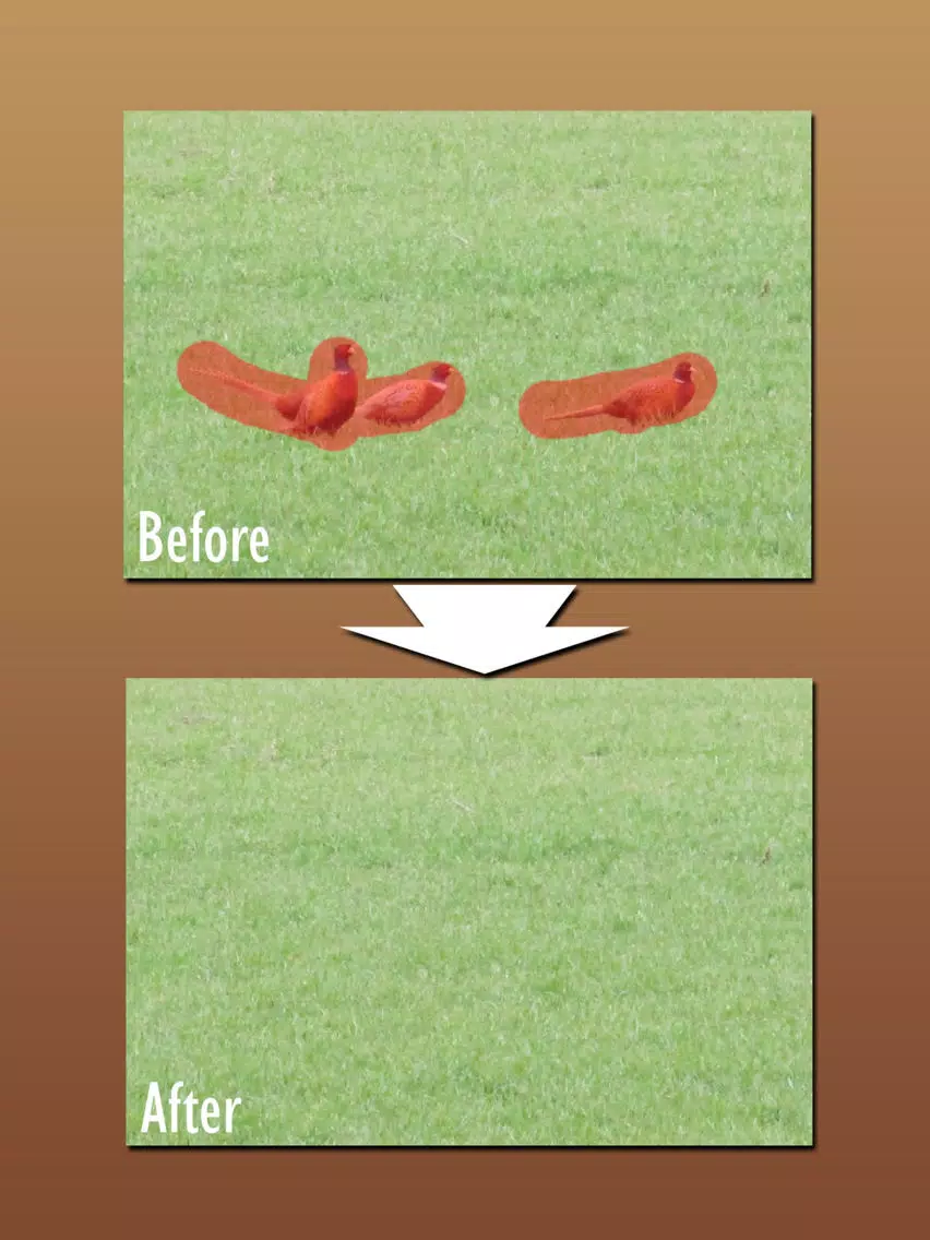 Easy Eraser: Remove items from photo by retouching iPad  스크린샷