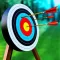 Archery Shooting Master
