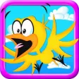 Floppy Crazy Birds Floppy Crazy Birds