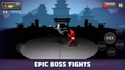 Screenshot di Dark Fighter: Night Falls