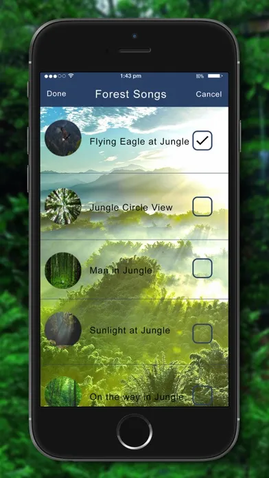 Relaxing Nature - Forest Sounds应用截图