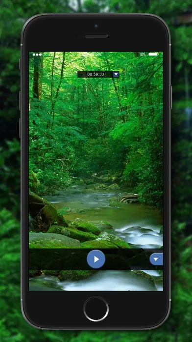 Relaxing Nature - Forest Sounds应用截图