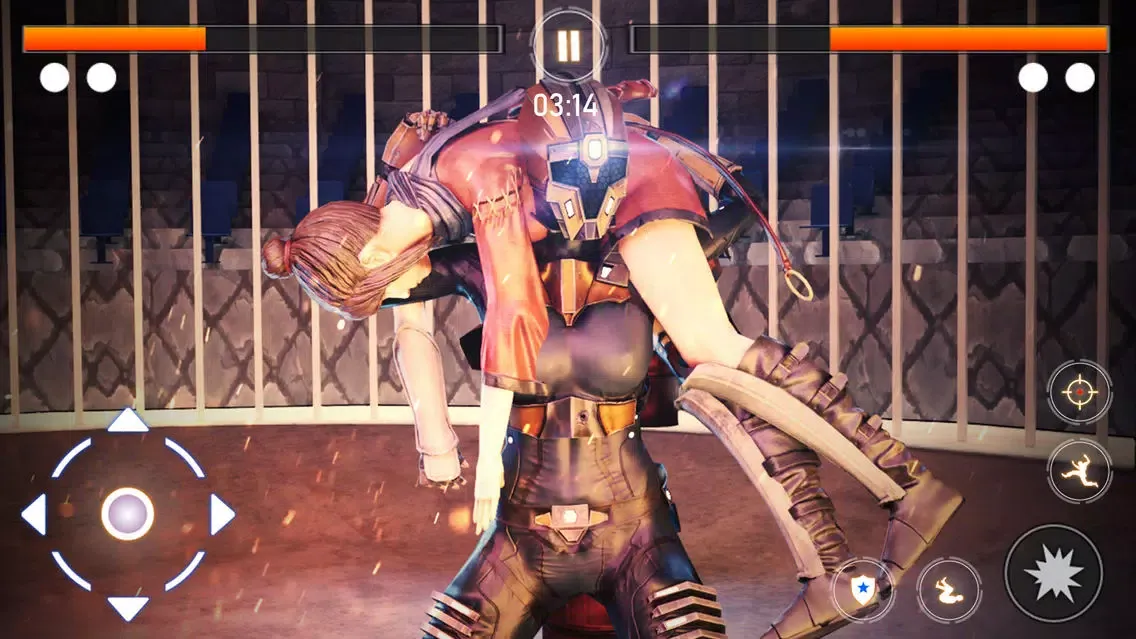 Скриншоты Ultimate Robot Girl Fight