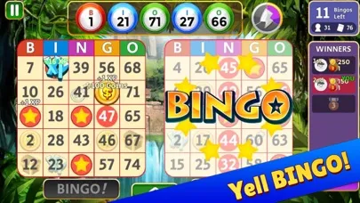Capturas de pantalla de Bingo Star