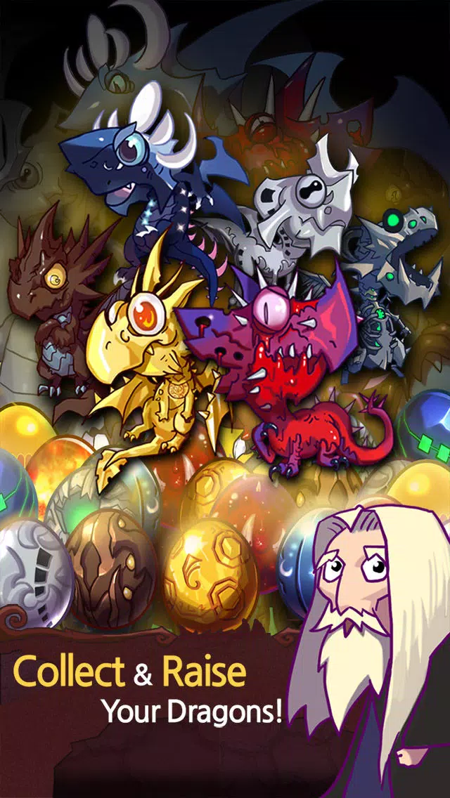 Zrzuty ekranu Dragon Wizard +19