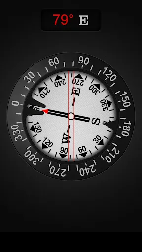 Tangkapan layar Compass PRO